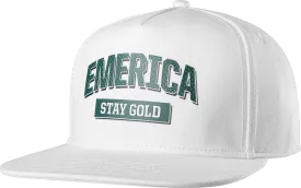 Emerica Team Stay Gold Snapback