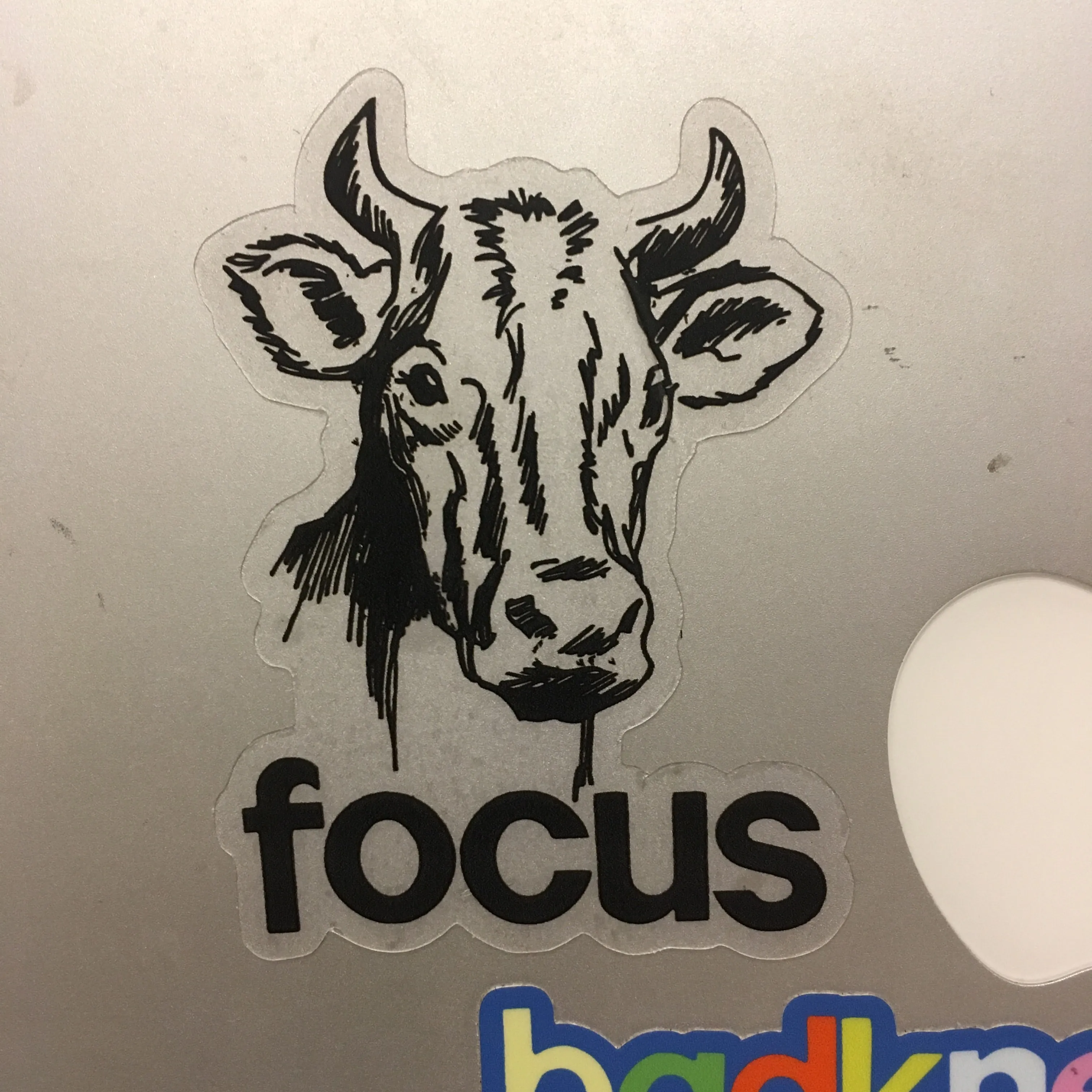 Focus Cow Sticker