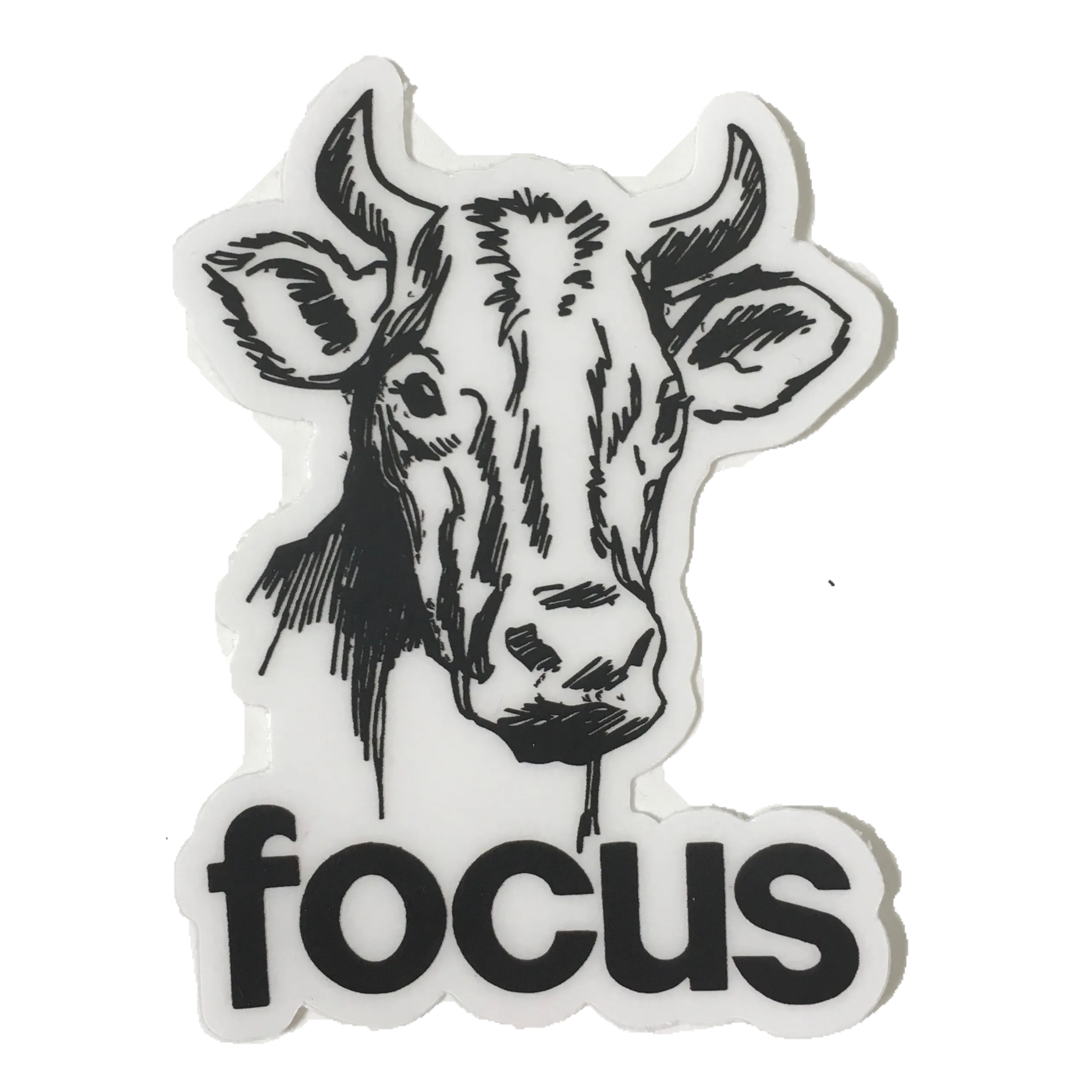 Focus Cow Sticker