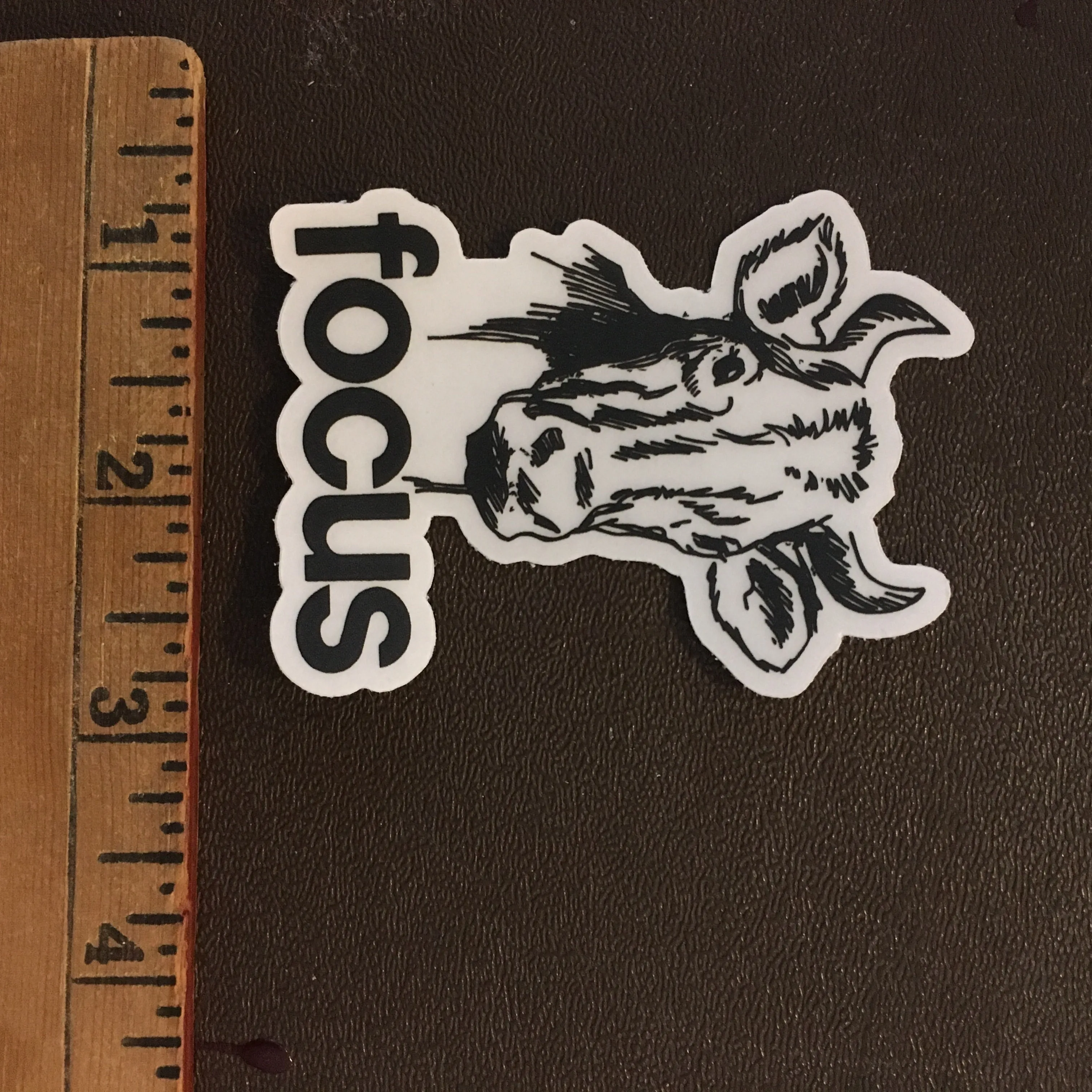 Focus Cow Sticker