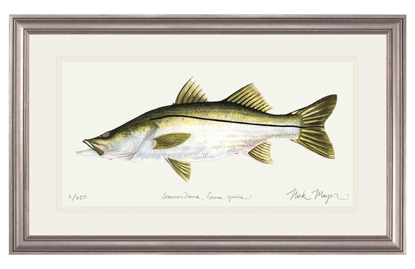 Snook Print