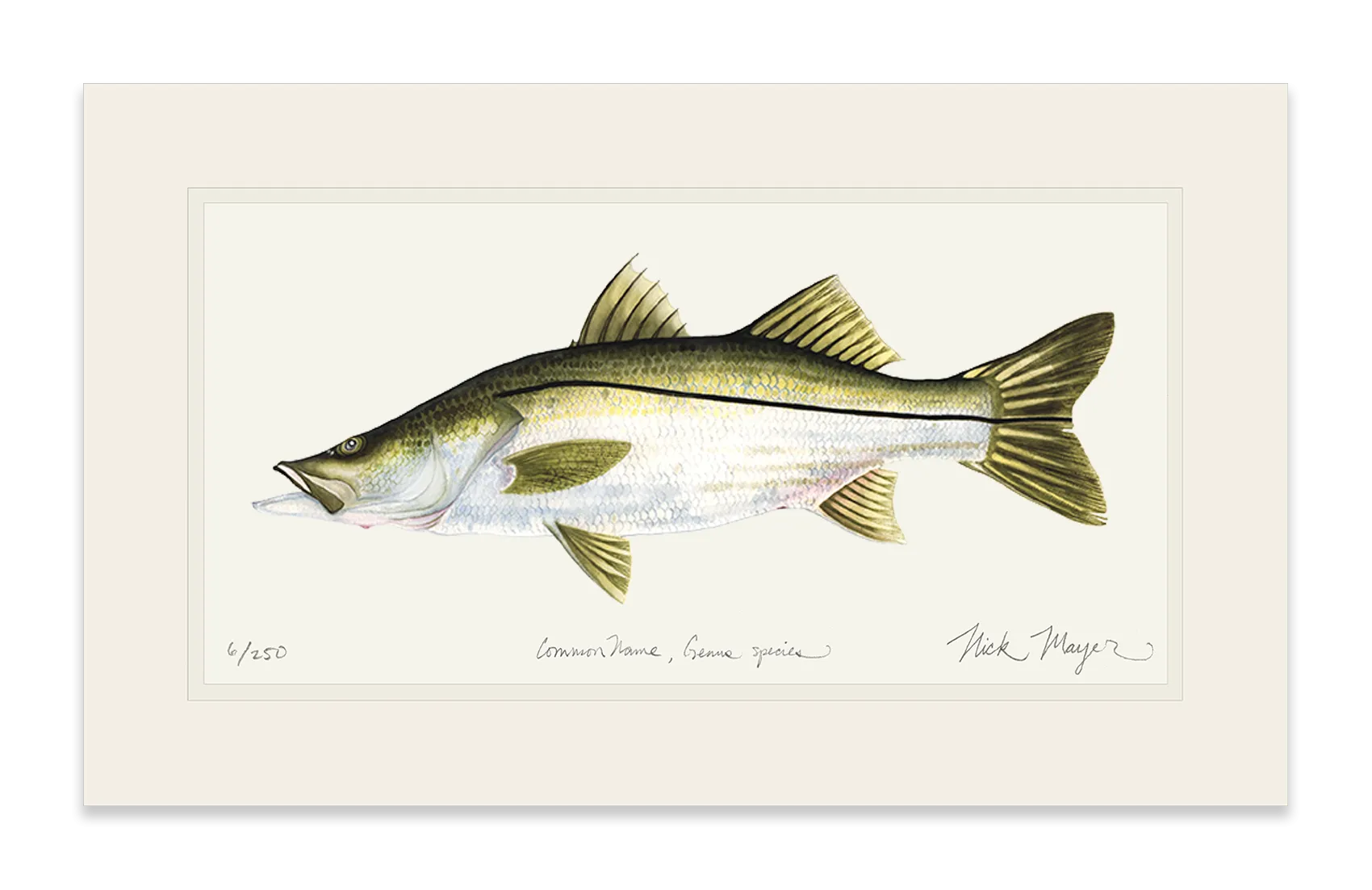 Snook Print