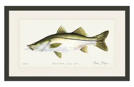 Snook Print