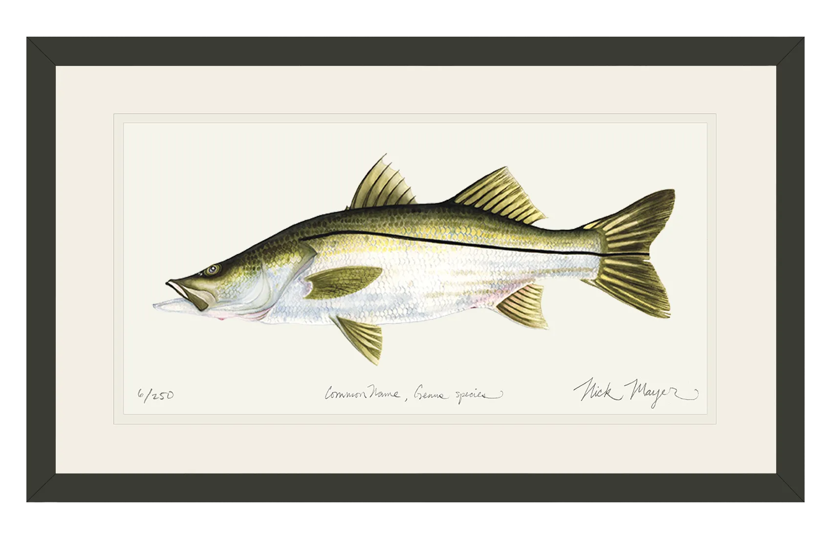 Snook Print