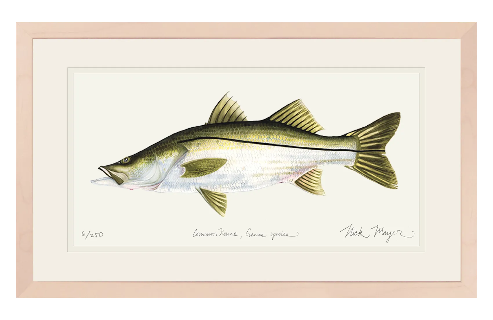 Snook Print